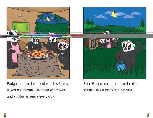 Carter Hayn - Badger Finds a Home, Häftad