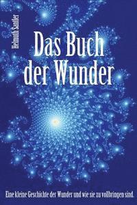 Helmuth Santler - Das Buch der Wunder: Eine kleine Geschichte der Wunder und wie sie zu vollbringen sind, Häftad