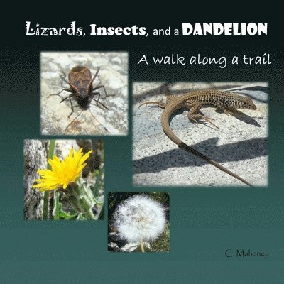 C Mahoney - Lizards, Insects, and a Dandelion, Häftad. Tillgänglighet: Lägg i varukorg