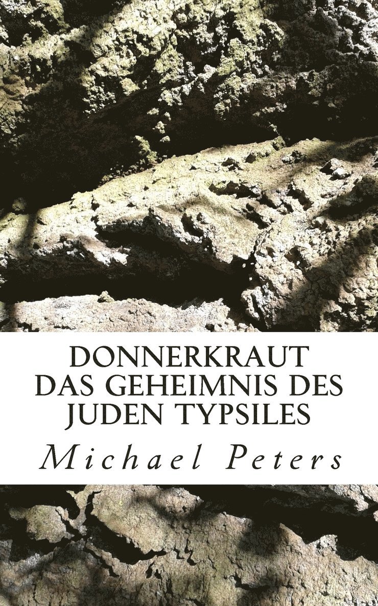 Michael Peters - Donnerkraut - Das Geheimnis des Juden Typsiles, Häftad