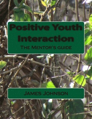 James E. Johnson - Positive Youth Interaction: The Mentor's guide, Häftad
