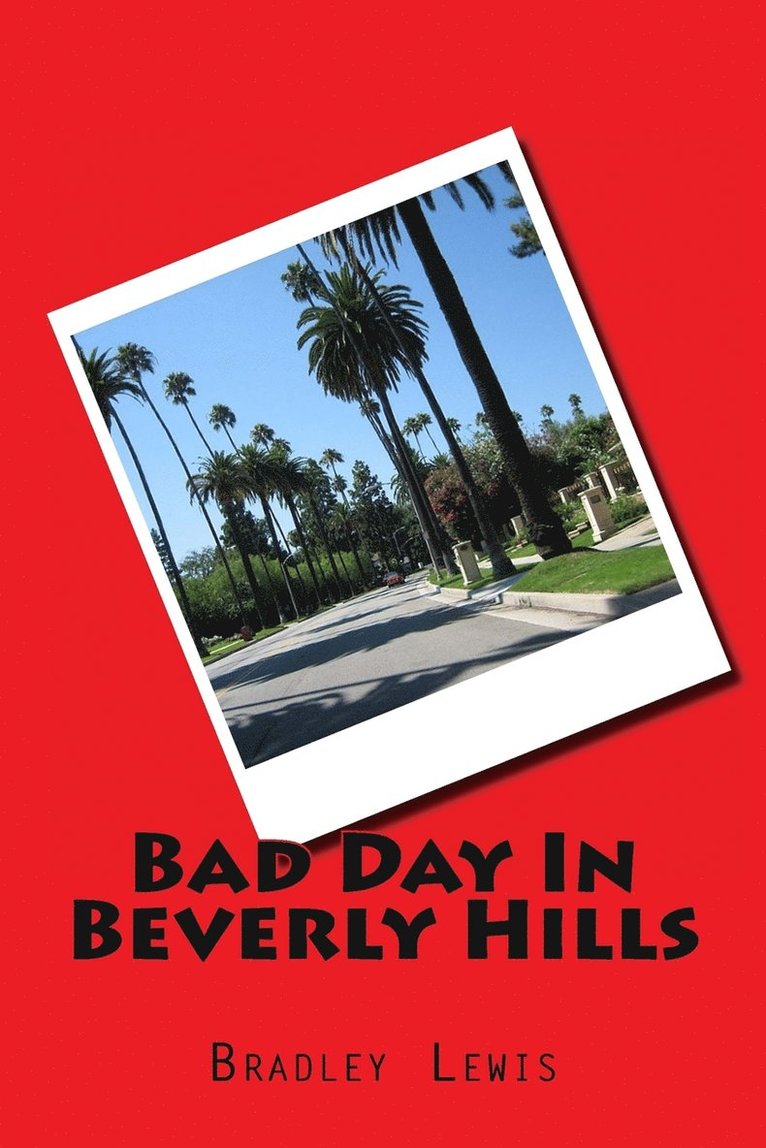 Bradley Lewis - Bad Day In Beverly Hills, Häftad