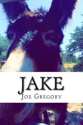 Joe Gregory - Jake, Häftad. Tillgänglighet: Lägg i varukorg