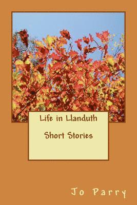 Jo Parry - Life in Llanduth - Short Stories: The Chrysanthemum Grower, the Provocative Dimple, the Mountain, Tommy Smith, Häftad. Tillgänglighet: Lägg i varukorg