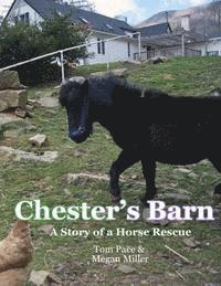 Megan Miller - Chester's Barn: A Story about a Horse Rescue, Häftad. Tillgänglighet: Lägg i varukorg