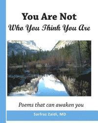 You Are Not Who You Think You Are: Poems That Can Awaken You