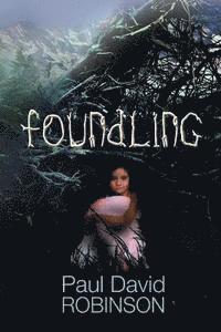 Paul David Robinson - Foundling, Häftad