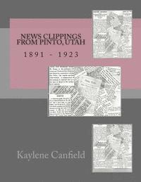 David Andersen, Kaylene Canfield - News Clippings from Pinto, Utah, Häftad