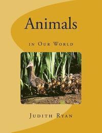 Judith Ryan - Animals in Our World, Häftad. Tillgänglighet: Lägg i varukorg