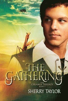 Sherry Taylor - Gathering, Häftad. Tillgänglighet: Lägg i varukorg