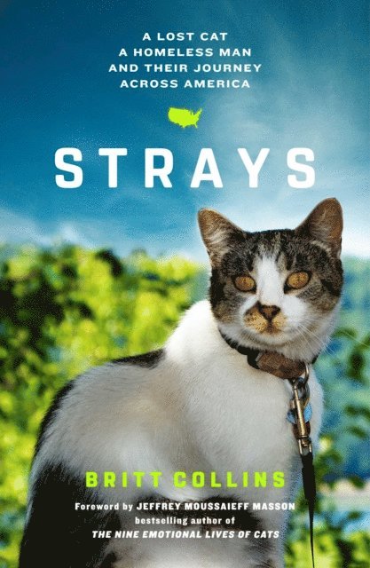 Britt Collins - Strays, E-bok