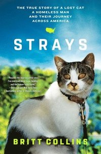 Strays: The True Story of a Lost Cat, a Homeless Man, and Their Journey Across America