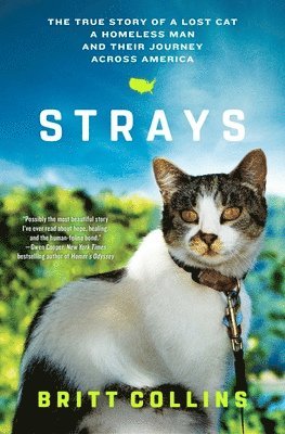 Britt Collins - Strays: The True Story of a Lost Cat, a Homeless Man, and Their Journey Across America, Häftad