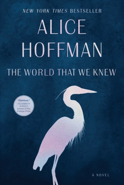 Alice Hoffman - World That We Knew, E-bok