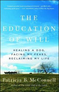 Education Of Will