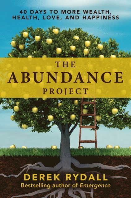 Derek Rydall - Abundance Project, E-bok
