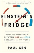 Einstein's Fridge