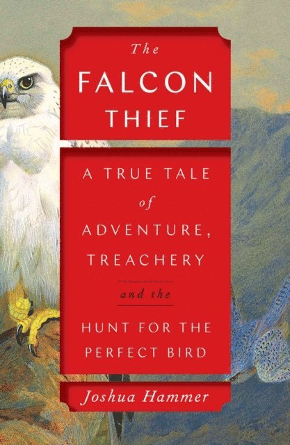 Joshua Hammer - Falcon Thief, E-bok