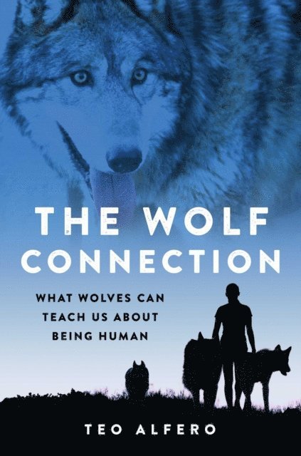 Teo Alfero - Wolf Connection, E-bok