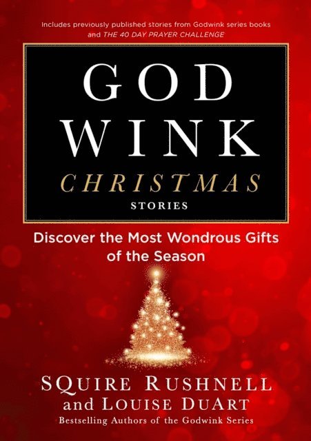 Louise DuArt, SQuire Rushnell - Godwink Christmas Stories, E-bok
