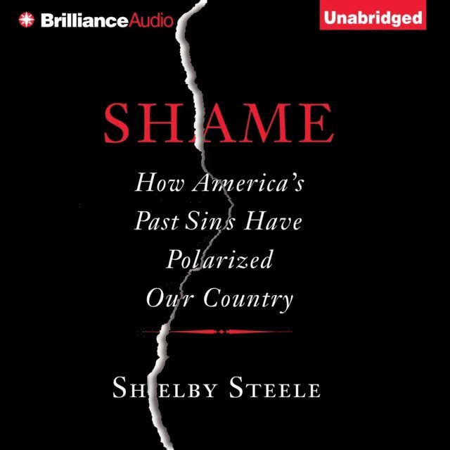 Shelby Steele - Shame, Ljudbok. Tillgänglighet: Lägg i varukorg