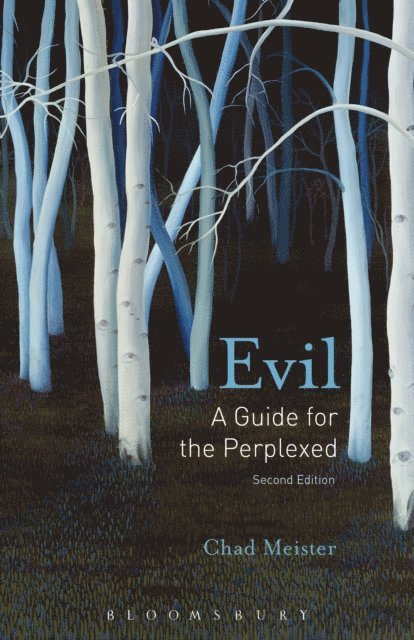 Chad V. Meister - Evil: A Guide for the Perplexed, E-bok