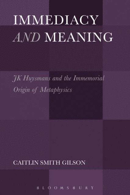 Caitlin Smith Gilson - Immediacy and Meaning, E-bok
