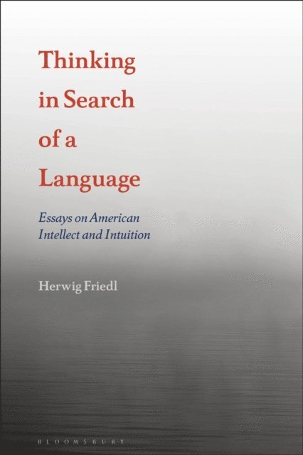 Herwig Friedl - Thinking in Search of a Language, E-bok
