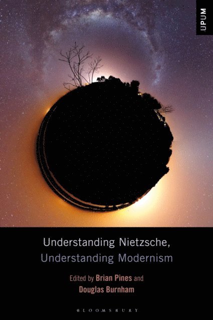 Brian Pines, Douglas Burnham - Understanding Nietzsche, Understanding Modernism, E-bok