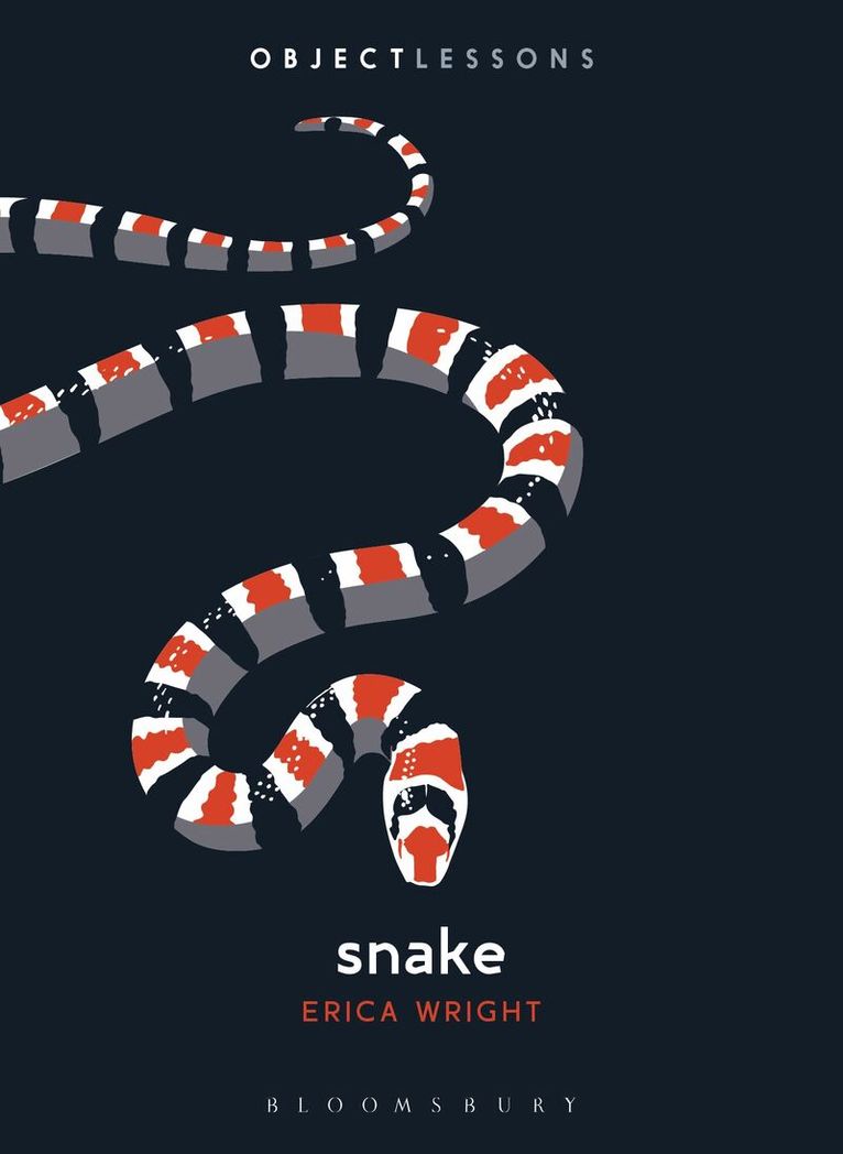 Erica Wright, Christopher Schaberg, Ian Bogost - Snake, Häftad
