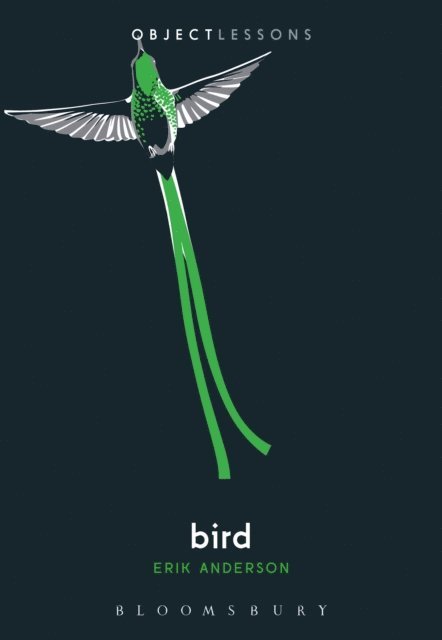 Erik Anderson - Bird, E-bok