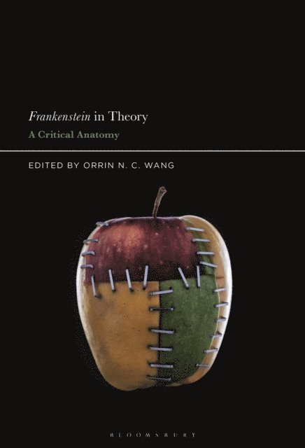 Orrin N. C. Wang - Frankenstein in Theory, E-bok