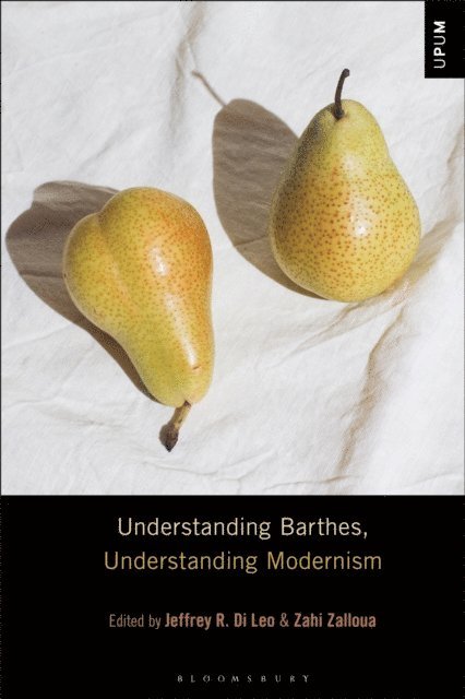 Jeffrey R. Di Leo, Zahi Zalloua - Understanding Barthes, Understanding Modernism, E-bok