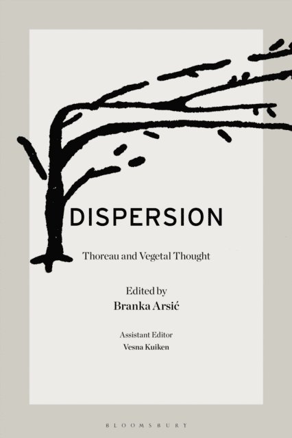 Branka Arsic - Dispersion, E-bok