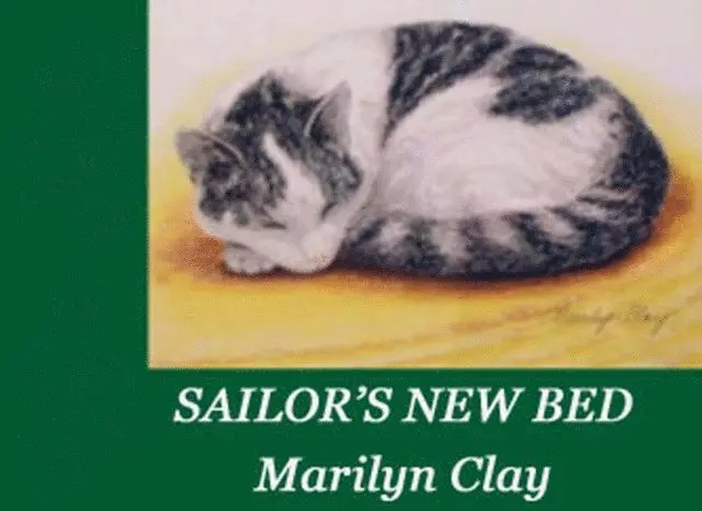 Marilyn Clay - Sailor's New Bed, E-bok. Tillgänglighet: Lägg i varukorg