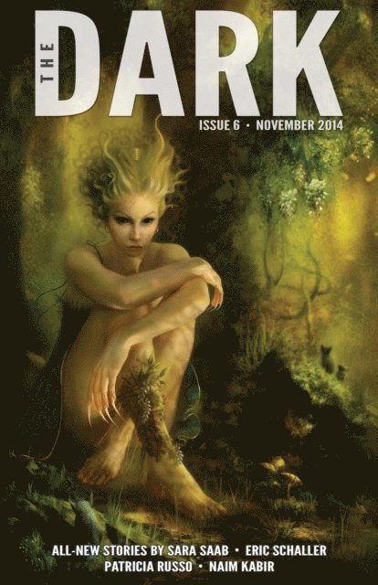 Sean Wallace, Jack Fisher - Dark Issue 6, E-bok