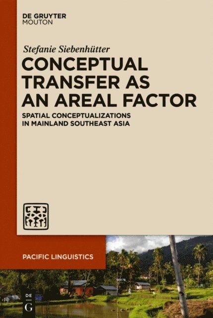 Stefanie Siebenhutter - Conceptual Transfer as an Areal Factor, E-bok