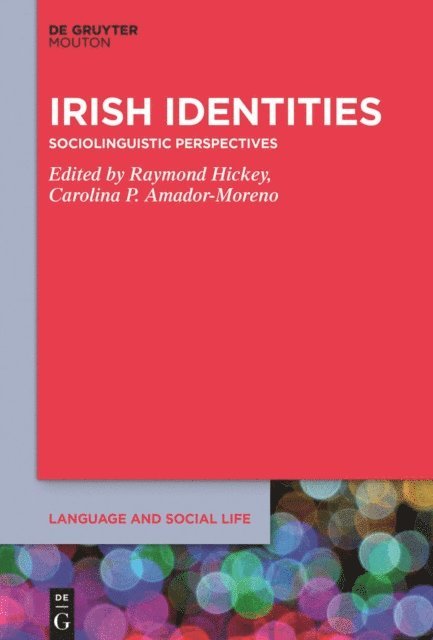 Carolina P. Amador-Moreno, Raymond Hickey - Irish Identities, E-bok