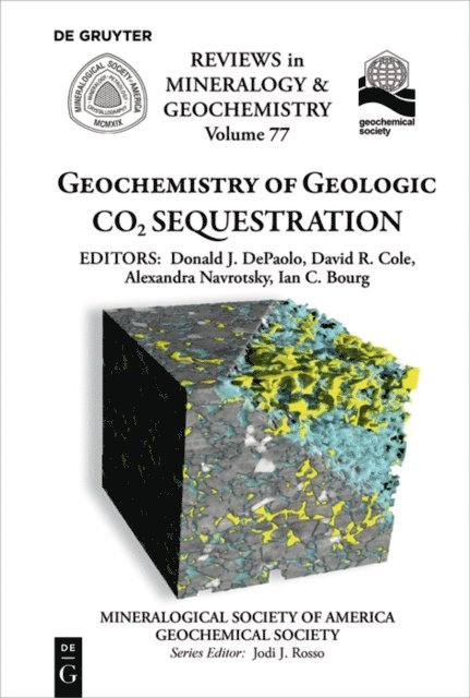 Ian C. Bourg, Alexandra Navrotsky, David R. Cole, Donald J. DePaolo - Geochemistry of Geologic CO2 Sequestration, E-bok