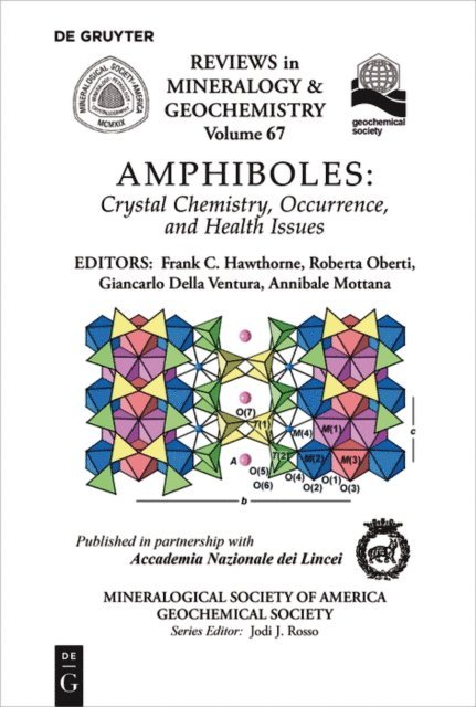 Annibale Mottana, Giancarlo Della Ventura, Roberta Oberti, Frank C. Hawthorne - Amphiboles, E-bok