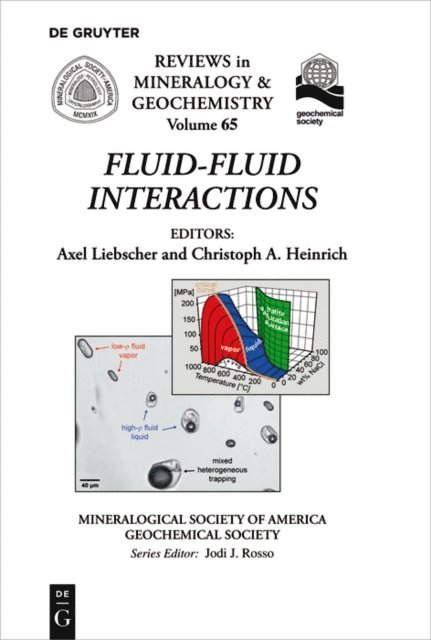 Christoph A. Heinrich, Axel Liebscher - Fluid-Fluid Interactions, E-bok