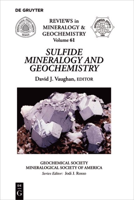 David J. Vaughan - Sulfide Mineralogy and Geochemistry, E-bok