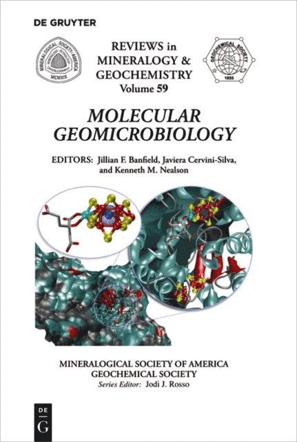 Kenneth Nealson, Javiera Cervini-Silva, Jillian F. Banfield - Molecular Geomicrobiology, E-bok