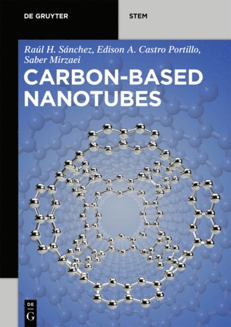 Edison Arley Castro Portillo, Saber Mirzaei, Raul Hernandez Sanchez - Carbon-Based Nanotubes, E-bok