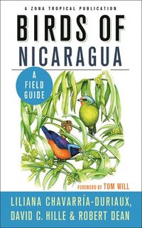 Birds of Nicaragua