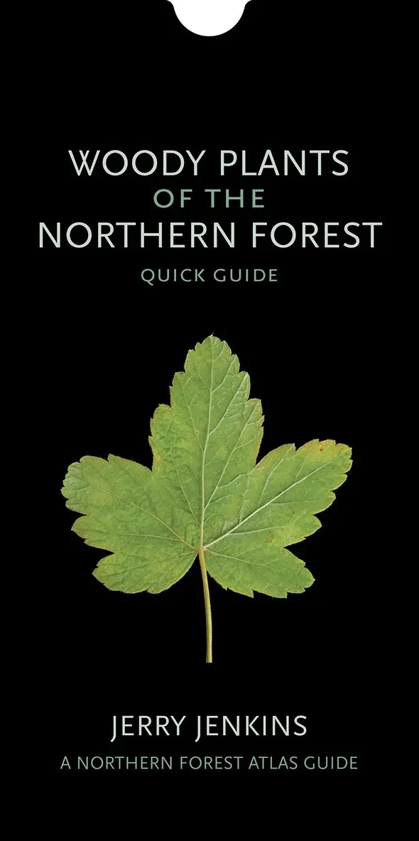 Jerry Jenkins - Woody Plants of the Northern Forest. Tillgänglighet: Tillfälligt slut