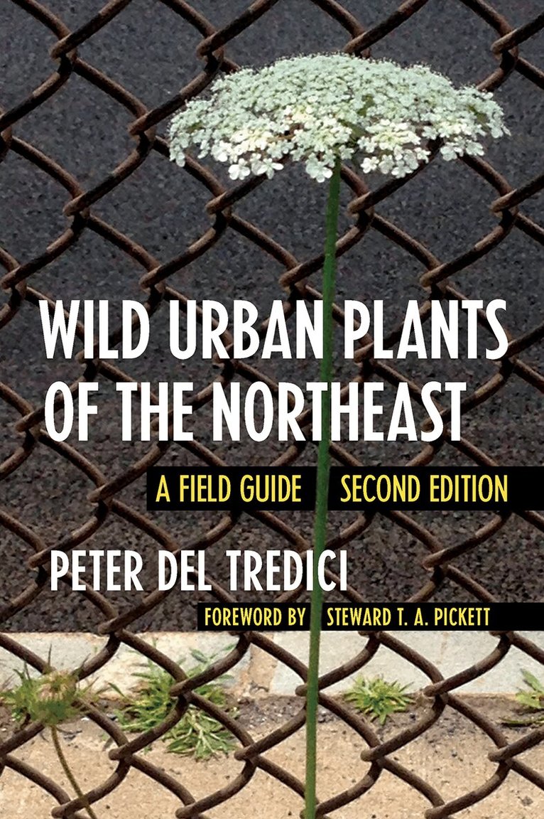 Peter Del Tredici - Wild Urban Plants of the Northeast, Häftad