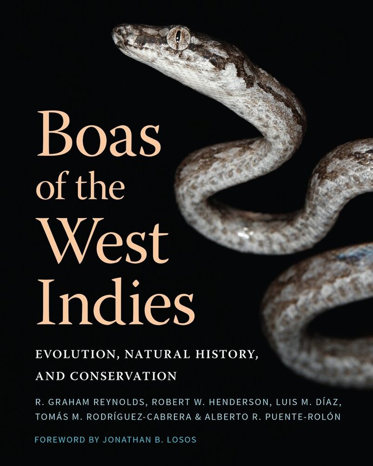 Robert Graham Reynolds, Robert W. Henderson, Luis M. Díaz, Tomás M. Rodríguez-Cabrera, Alberto R. Puente-Rolón - Boas of the West Indies, Inbunden. Tillgänglighet: Lägg i varukorg