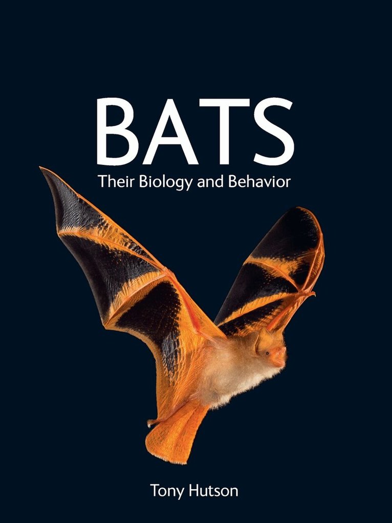 Tony Hutson - Bats, Häftad. Tillgänglighet: Kommande