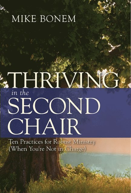 Mike Bonem - Thriving in the Second Chair, E-bok